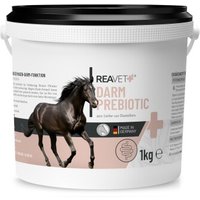 REAVET Darm Prebiotic 1 kg