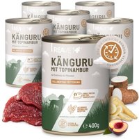 REAVET Hundenassfutter – Känguru mit Topinambur an Pastinake & Pflaume | 6 x 400g