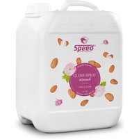 Speed Gloss-Spray ALMOND, 2500ml