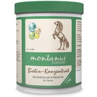 Montanus ® nature Biotin-Konzentrat 1 kg