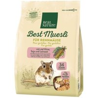 REAL NATURE „Best Muesli“ für Rennmäuse 500g