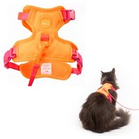 LucyBalu EXPLORER Katzengeschirr orange M-L