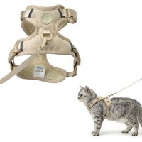 LucyBalu EXPLORER Katzengeschirr sand M-L
