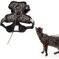 LucyBalu EXPLORER Katzengeschirr leo M-L
