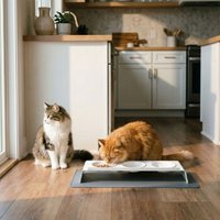 LucyBalu SQUARE Katzen Napfunterlage anthrazit L