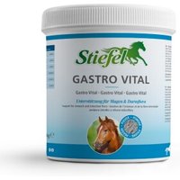 Stiefel Gastro Vital 1 kg