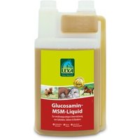 Lexa Ergänzungsfutter Glucosamin-MSM-Liq 1 L