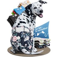 HUND IST KÖNIG Windeln für Hündinnen, saugstarke Windeln, 3-Fach justierbar für festen Sitz weiß/ bunt M