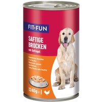 FIT+FUN Nassfutter Hund Audlt, Ragout, Geflügel 6x1,24 kg