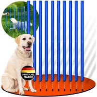 PfotenWunder® 10x Slalomstangen, Profi-Agility-Slalom-Set