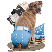 HUND IST KÖNIG Windeln für Hündinnen, saugstarke Windeln, 3-Fach justierbar für festen Sitz blau XL
