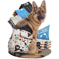HUND IST KÖNIG Windeln für Hündinnen, saugstarke Windeln, 3-Fach justierbar für festen Sitz beige L
