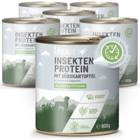REAVET Hundenassfutter - Insektenprotein mit Süßkartoffeln an Karotten & Hagebutte | 6 x 800g