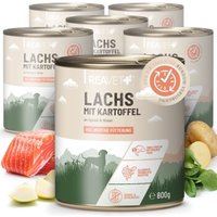 REAVET Hundenassfutter - Lachs mit Kartoffeln an Spinat & Birne | 6 x 800g