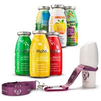 SmoothieDog 6er Mix + Doggyroller Rosa L