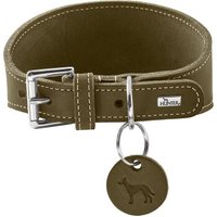 Dog Sport HUNTER Windhundhalsband aalborg oliv M