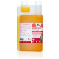 Fortan Keimöl plus mit Gamma-Linolen 1 l