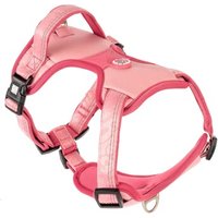 Max & Molly Sport Geschirr - Matrix 2.0 Rose S