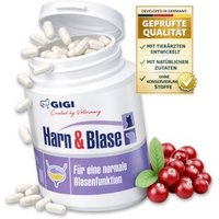 GIGI VET Harn & Blase 90 Stück