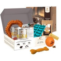 Wildfang Paket "Zauberbox" L