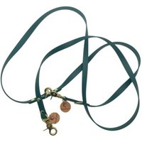 Wildfang Hundeleine "Waldgeflüster" aus U.S. Biothane und Lederbutton mit Wildfang Logo türkis 2,3 m, 1,6 cm
