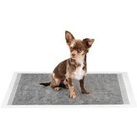Lionto Hygieneunterlage mit Kohlefaser für Hunde 6-lagig 100 S