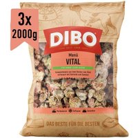 DIBO Frostfutter Menü-Vital 3x2 kg