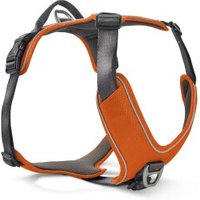 Wolters Active Pro Comfort Hundegeschirr orange/ schwarz S