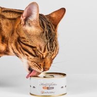 Lucky-Kitty Maus Pur (100% Maus) 12x100 g