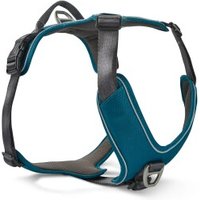 Wolters Active Pro Comfort Hundegeschirr anthrazit / petrol M