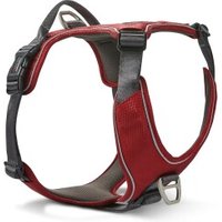 Wolters Active Pro Comfort Hundegeschirr anthrazit/ rot M