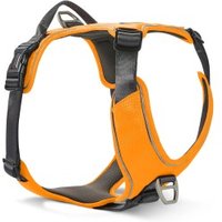 Wolters Active Pro Comfort Hundegeschirr orange M