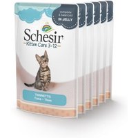Schesir Kitten Thunfisch 6x85 g