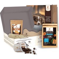 Wildfang Welpen Paket "Willkommen Puppy" L
