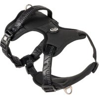 Max & Molly Sport Geschirr - Matrix 2.0 Black L
