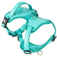 Max & Molly Sport Geschirr - Matrix 2.0 türkis L