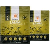 Balloony.pet German Shephy Hundefutter Sensitve Lamm 6 kg