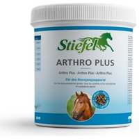 Stiefel Arthro Plus 1 kg