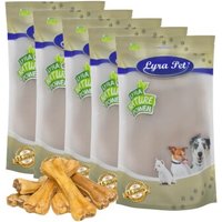 Lyra Pet Kauknochen mit Pansen ca. 15 cm 4,5 kg