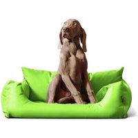 Tierlando NEMO Hundebett Hundesofa S M L Hundekorb Katzenbett 65 80 100cm kiwi 65 cm, 20 cm, 50 cm