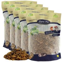 Lyra Pet Protein Boost Insekten Mix - mit Mehlwürmern, Shrimps & Grashüpfern 5 kg