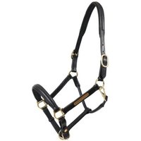 Hans Melzer Horse Equipment Hans Melzer Halfter Hünxe schwarz/messing WB EXTRA (KB-Kaltblut)