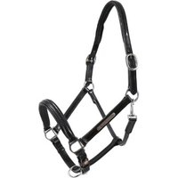 Hans Melzer Horse Equipment Hans Melzer Halfter Schwaiganger schwarz/silber WB EXTRA (KB-Kaltblut)
