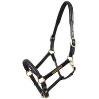 Hans Melzer Horse Equipment Hans Melzer Halfter Hünxe schwarz/messing WB (Warmblut)
