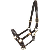 Hans Melzer Horse Equipment Hans Melzer Halfter Sahrendorf braun/messing Pony