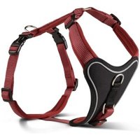 Wolters Professional Comfort Hundegeschirr rot XXL