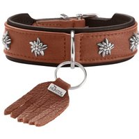 Dog Sport HUNTER Hundehalsband münchen cognac XS-S