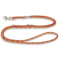Wolters Everest-Tauprogramm Führleine extra lang Führleine Hundeleine orange M