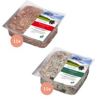 ProCani BARF-Paket pur probiotisch 22x500 g
