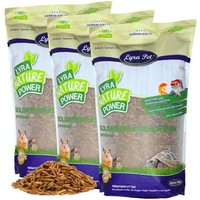 Lyra Pet Soldatenfliegenlarven 15 kg